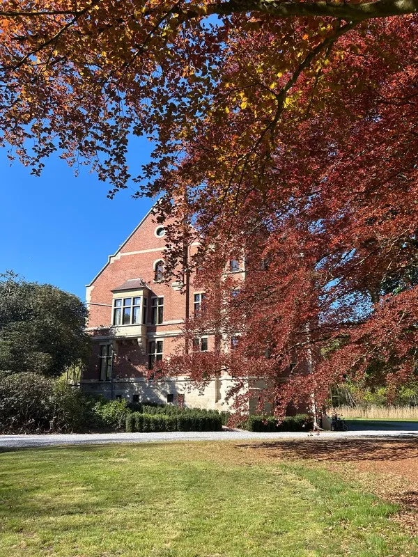 Rode beuk voor de gevel van het kasteel