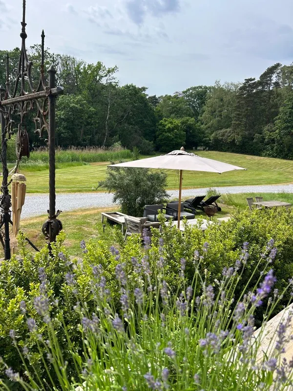 Terras met parasol en lavendel met zicht op het park